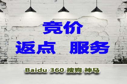 初学者的百度竞价推广：成功案例揭秘